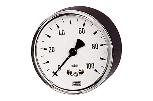 RIEGLER 102560-6826 Kapselfedermanometer, G 1/2 hinten exzentr, 0-400 mbar, Ø 100, 1Stk von Riegler