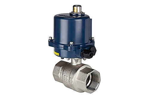 RIEGLER 103705-350.2815R 2-Wege-Messingkugelhahn, elektr. Stellantrieb, 24 V DC, Rp 2, 1Stk von Riegler