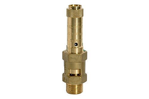 RIEGLER 105063-229.06-4,0 Sicherheitsventil, Messing, G 2, Ansprechdruck 4 bar, 1Stk RIEGLER 105063-229.06-4,0 Sicherheitsventil, Messing, G 2, Ansprechdruck 4 bar, 1Stk von Riegler