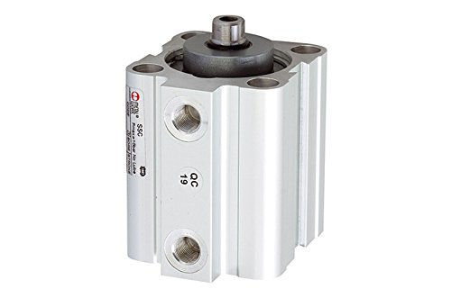 RIEGLER 105925-3.DM.40010 Kurzhubzylinder, doppeltwirk., Magnet, Kolben-Ø 40, Hub 10, G 1/8, 1Stk von Riegler