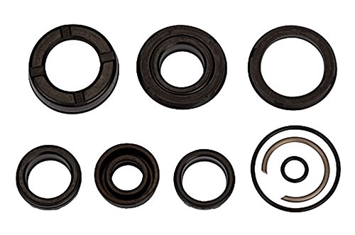 RIEGLER 106173-235.18-M Dichtsatz, für Kompaktzylinder, Kolben-Ø 40, PU-Dichtung, 1Stk von Riegler