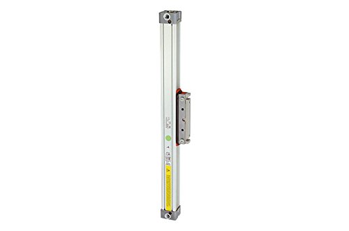 RIEGLER 106345-6.DD.400800 Kolbenstangenloser Zylinder, doppeltwirk., Kolben-Ø 40, Hub 800, 1Stk von Riegler