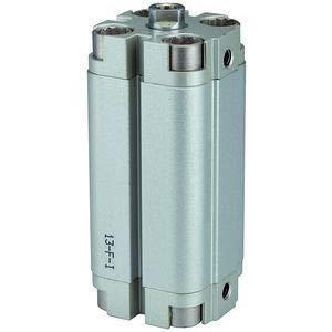 RIEGLER 115276-13.DM.16020 Kompaktzylinder »ACP« doppeltwirkend, Kolben-Ø 16, Hub 20, M5x0,8, 1Stk von Riegler