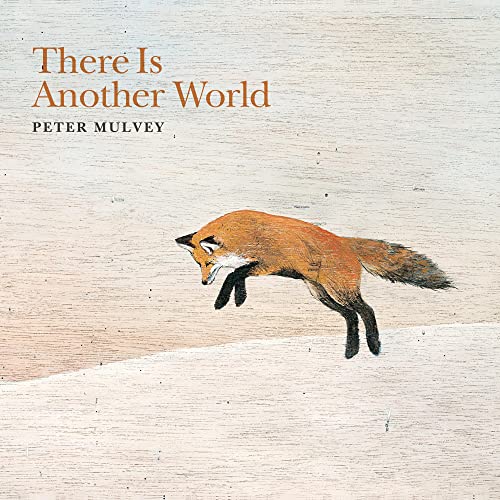 There Is Another World [Vinyl LP] von Righteous Babe