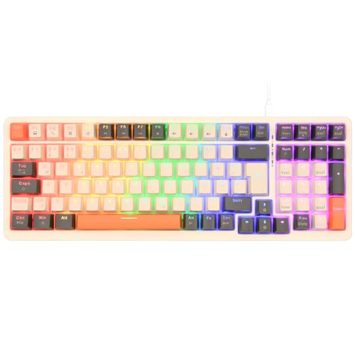 Rii Mechanische Tastatur Gaming Keyboard, Gaming Tastatur Kabel mit QWERTZ, Tastatur Mechanisch mit Blaue Schalter, Keyboard Gaming Tastatur 75 Prozent mit RGB (Kabel Verbindung) von Rii