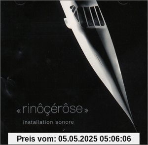 Installation Sonore Installation Sonore von Rinocerose