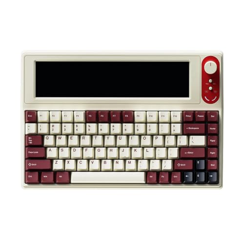 Rinteea AKP846 Mechanische Tastatur mit Smart Display und 10,1-Farbbildschirm, Dichtungsstruktur, Hot-Swap-Fähigen PBT-Tastenkappen,B von Rinteea