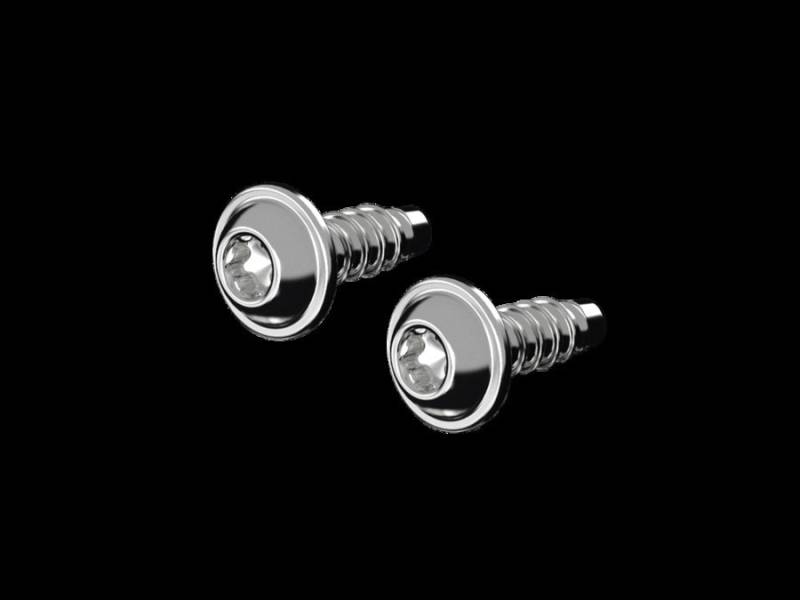 Rittal Kunststoff-Schraube AX 1485.300 (VE50) 1485300 von Rittal