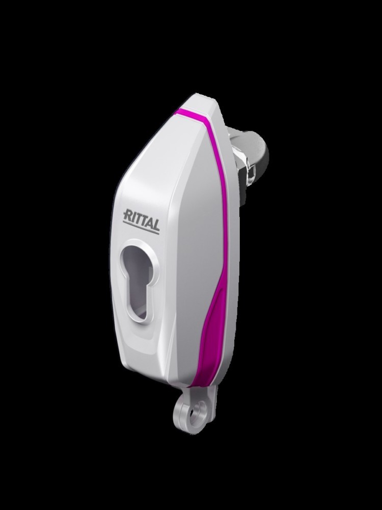 Rittal Mini-Komfortgriff AX AX 2537.300 2537300 von Rittal