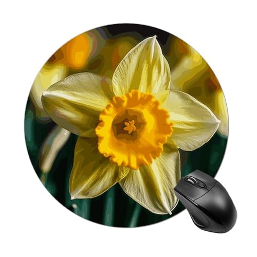 Rundes Mauspad mit Narzissen-Blume, wasserdicht, rutschfest, Gummi, lustiges Mauspad, 19,8 x 19,8 cm, für Computer, Laptop, Büro, Schreibtisch, Zubehör, Mauspad Rundes Mauspad mit Narzissen-Blume, wasserdicht, rutschfest, Gummi, lustiges Mauspad, 19,8 x 19,8 cm, für Computer, Laptop, Büro, Schreibtisch, Zubehör, Mauspad von Rkklvbns
