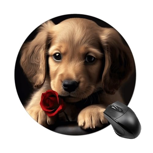 Rundes Mauspad mit niedlichem Hund, wasserdicht, rutschfest, Gummi, 19,8 x 19,8 cm, für Computer, Laptop, Büro, Schreibtischzubehör, Mauspad Rundes Mauspad mit niedlichem Hund, wasserdicht, rutschfest, Gummi, 19,8 x 19,8 cm, für Computer, Laptop, Büro, Schreibtischzubehör, Mauspad von Rkklvbns