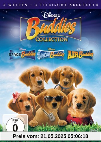 Buddies Collection [3 DVDs] von Robert Vince