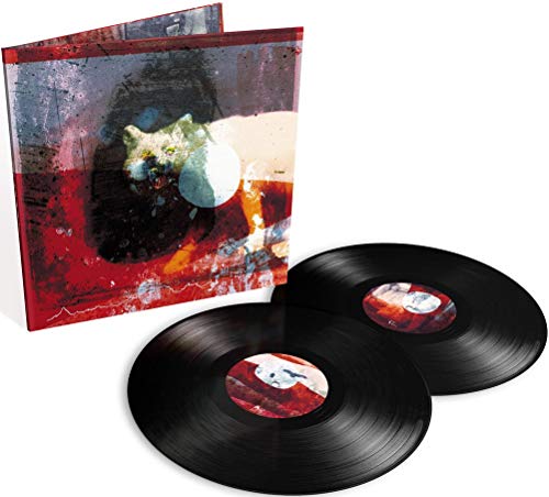 ΑՏ ΤΗΕ ԼΟVΕ СΟΝΤΙΝՍΕՏ__2ԼΡ VINYL von Rock Action Records