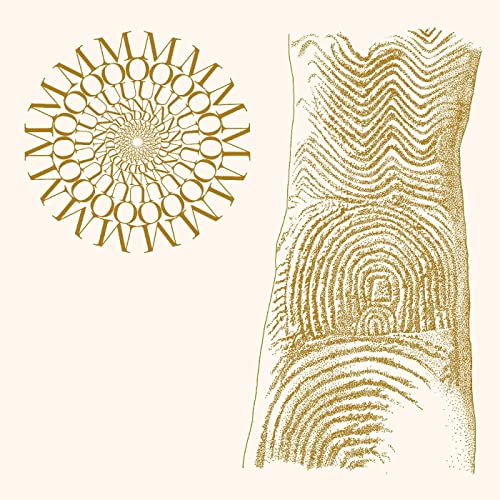 Flowers Rot, Bring Me Stones von Rocket Recordings