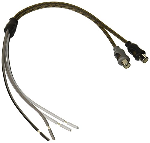Rockford Fosgate RFIF2SW Lautsprecher-Adapterkabel auf Cinch-Buchse von Rockford Fosgate