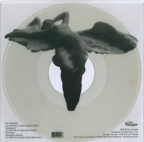 Love Will Tear Us Apart [Vinyl LP] von Rocksax