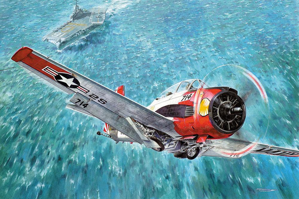North American T-28C Trojan North American T-28C Trojan von Roden