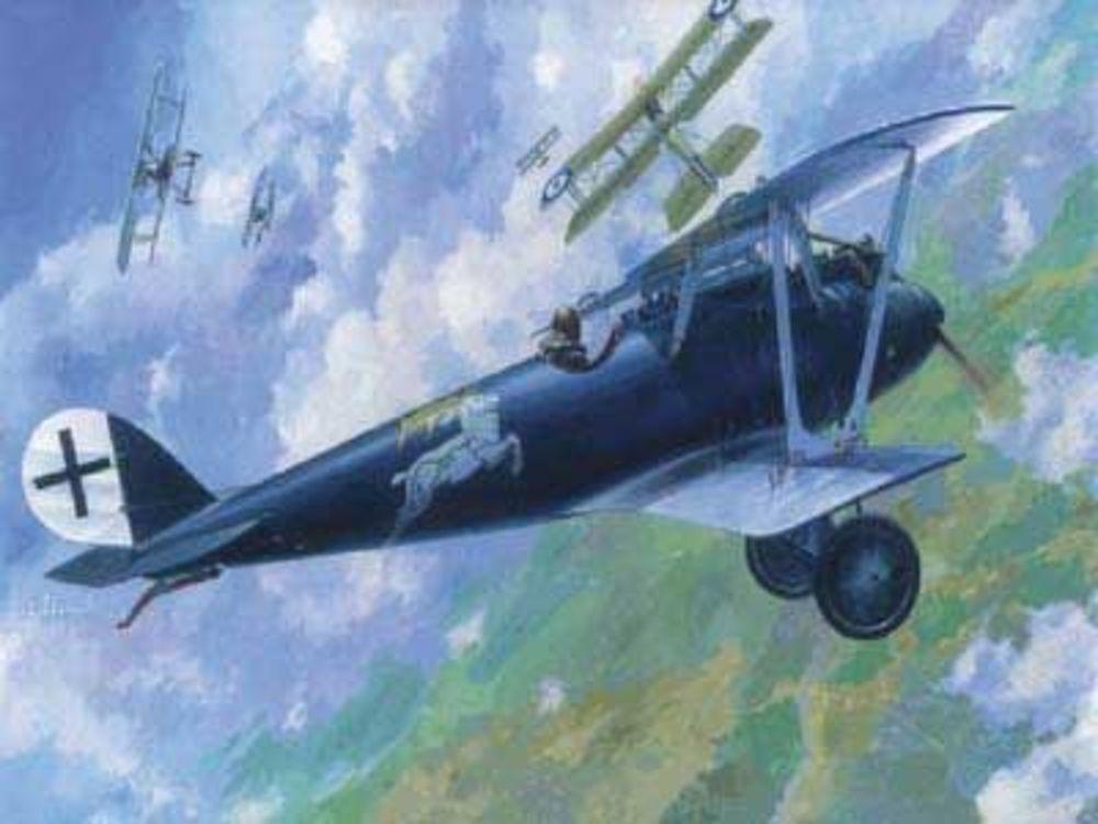 Pfalz D.IIIA von Roden