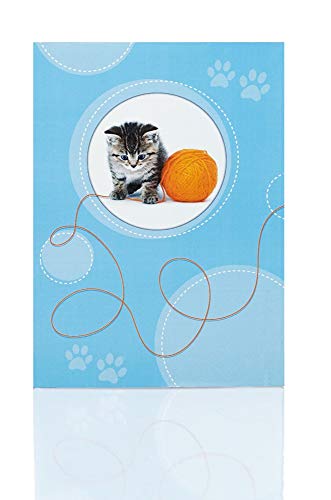 Rössler 11701107000 - Briefpapierpack "Little Tiger", 165x235 & 90x177 mm, 10 Blätter & 10 Briefumschläge von Rössler Papier