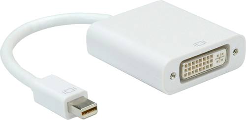 Roline Mini-DisplayPort / DVI Adapterkabel Mini DisplayPort Stecker, DVI-D 24+1pol. Buchse 0.10m Wei von Roline