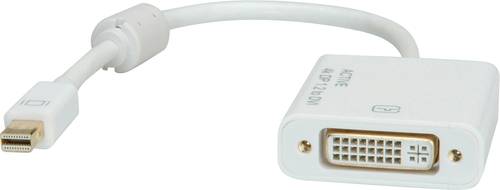 Roline Mini-DisplayPort / DVI Adapterkabel Mini DisplayPort Stecker, DVI-D 24+1pol. Buchse 0.10m Wei von Roline