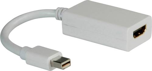 Roline Mini-DisplayPort / HDMI Adapterkabel Mini DisplayPort Stecker, HDMI-A Buchse 0.10m Weiß 12.0 von Roline