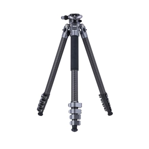 Rollei Easy Traveler Carbonstativ - 5 kg Tragkraft, 160 cm Höhe, Ultraleicht, Kompakt, Mühelose Feststellfunktion Rollei Easy Traveler Carbonstativ - 5 kg Tragkraft, 160 cm Höhe, Ultraleicht, Kompakt, Mühelose Feststellfunktion von Rollei