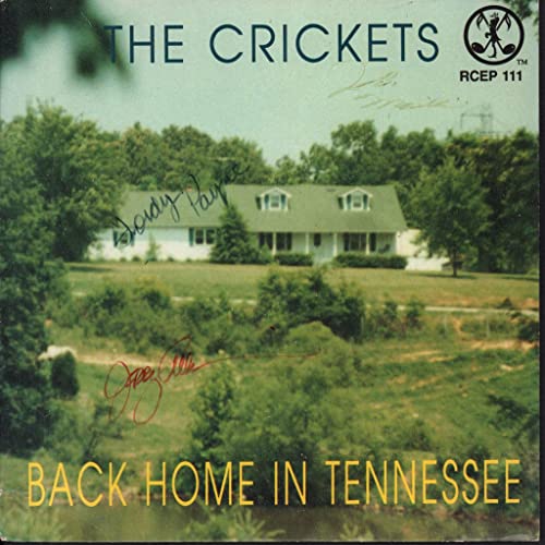 Back Home in Tennessee [Vinyl Single] von Rollercoaster