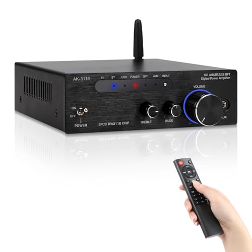 Romicta 200W HiFi Digital Verstärker mit Bluetooth 5.3 | 2x100W Dual TPA3116 Klasse-D Stereo Receiver (RCA/USB/Optisch/AUX) für Heimkino + Outdoor | Inkl. 24V Netzteil | Kompakt & Leistungsstark von Romicta