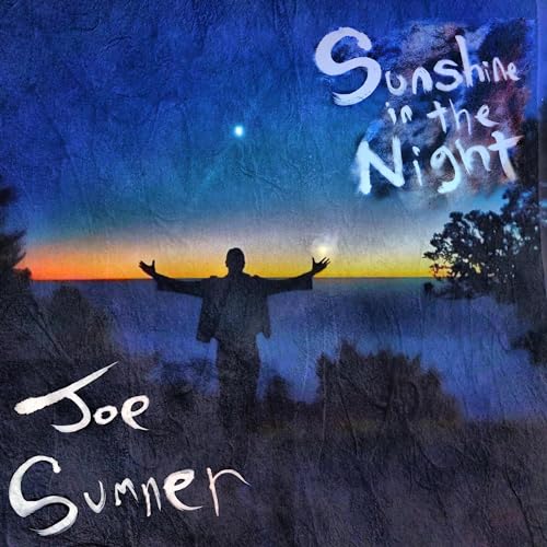 Sunshine in the Night [Vinyl LP] von BFD