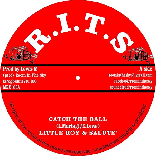 Catch The Ball [Vinyl Single] von Room In The Sky