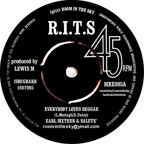 Everybody Loves Reggae / Trommy Loves [Vinyl Single] von Room In The Sky