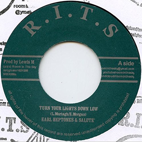 Turn Your Lights Down Low [Vinyl Single] von Room In The Sky