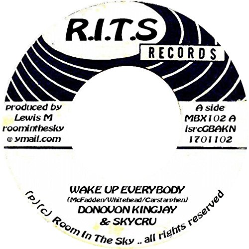 Wake Up Everybody/Heavy Load [Vinyl Single] von Room in the Sky