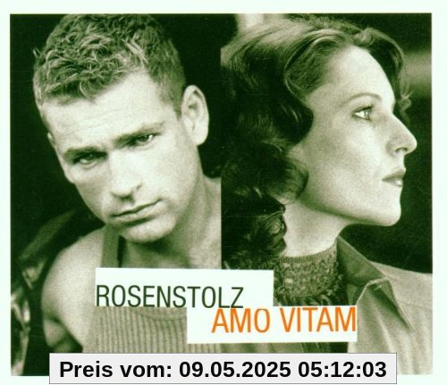 Amo Vitam von Rosenstolz