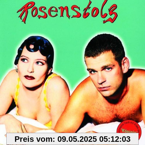 Die Schlampen Sind Müde von Rosenstolz