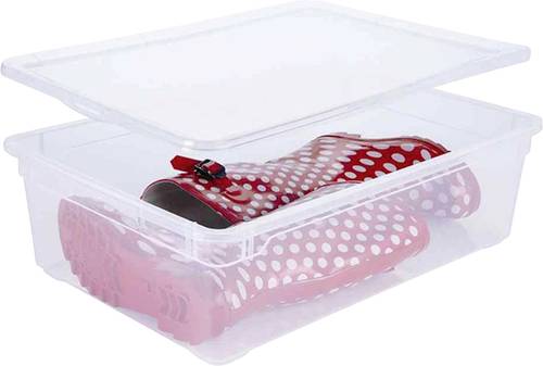 Rotho 1438400096 Aufbewahrungsbox (L x B x H) 55 x 37.5 x 16cm Transparent 1St. von Rotho