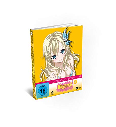 Haganai Vol.2 von Rough Trade Distribution