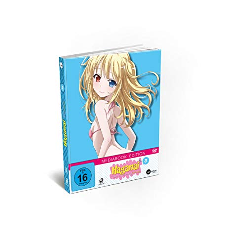Haganai Vol.3 von Rough Trade Distribution