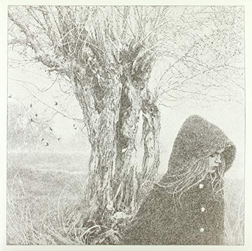 Between the Earth & Sky [Vinyl LP] von Rough Trade