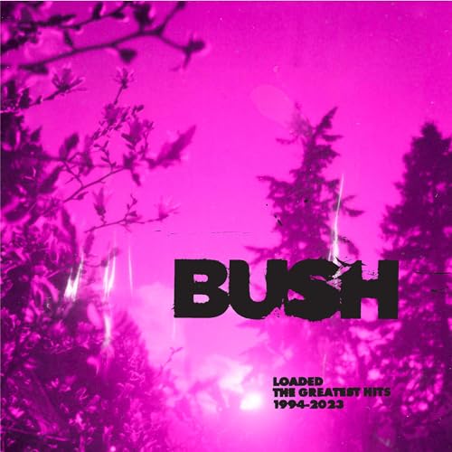 Loaded: The Greatest Hits 1994-2023 [Vinyl LP] von Round Hill Music