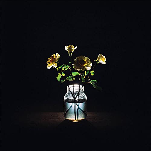 Renewal [Coke Bottle Clear 2 LP] [Vinyl LP] von Rounder