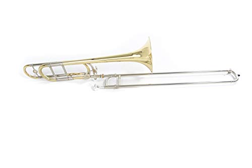 Roy Benson Bb/F-Tenorposaune TT-236F (Quartventil, 13,34 mm Bohrung, 8"" Messing Schallstück, Neusilber Zügen, höchste Klangbrillanz, ergonomisches Design, in einem praktischen Formetui) von Roy Benson