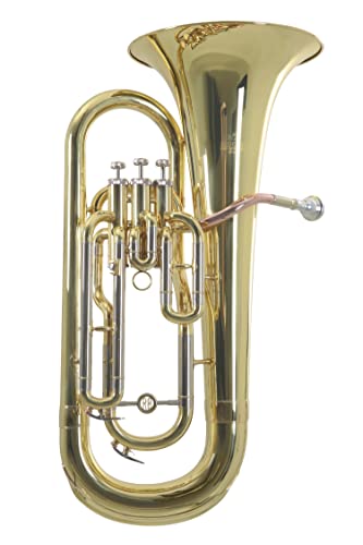 Roy Benson Bb-Euphonium EP-301 (Professionelles Blasinstrument, mit Goldmessing Mundrohr, Neusilber Außenzüge, Edelstahl Ventile, mit komfortablem Formetui) von Roy Benson