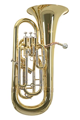 Roy Benson Bb-Euphonium EP-302 (Professionelles Blasinstrument, mit Goldmessing Mundrohr, Neusilber Außenzüge, Edelstahl Ventile, mit komfortablem Formetui) von Roy Benson