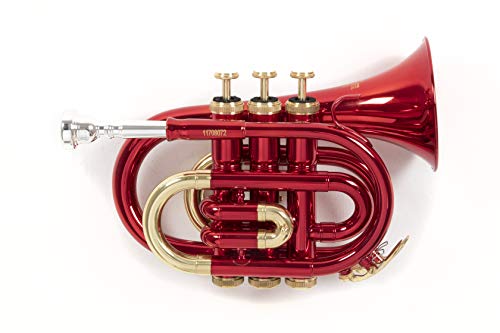 Roy Benson Bb Taschen -Trompete MOD.PT-101R rot lackiert, inkl. Etui von Roy Benson