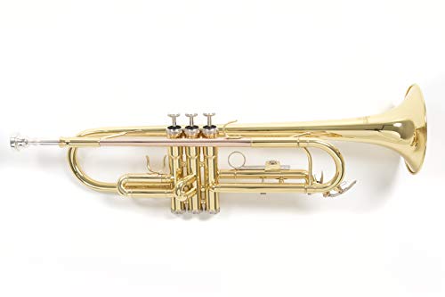 Roy Benson Bb-Trompete TR-101 (Professionell gestaltet mit ML Bohrung, mit Goldmessing Mundrohr, inklusive leichtem Rechtecketui, mit Rucksackgarnitur) von Roy Benson