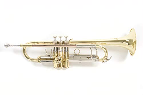 Roy Benson Bb-Trompete TR-403 (Premium Messing-Konstruktion - erweitertes Schallstück - dunkler Klangcharakter - inkl. leichtem Rechtecketui - mit Rucksackgarnitur), lackiert von Roy Benson