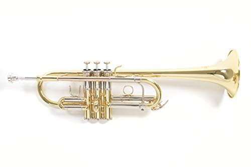 Roy Benson C-Trompete TR-402C (vielseitige Trompete, mit umschaltbarer Stimmung von C auf Bb, inklusive praktischem Rucksack-Rechtecketui), lackiert von Roy Benson