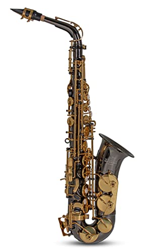 Roy Benson Eb-Alt Saxophon AS-202K (Premium Messing-Korpus & Hoch F#-Klappe, inkl. Mundstück, Putztuch & Tragegurt, leicht transportierbares Rechtecketui, mit praktischer Rucksackgarnitur), Anthrazit von Roy Benson